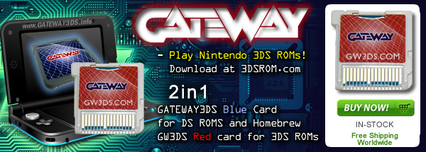 Gateway 3DS ROM card